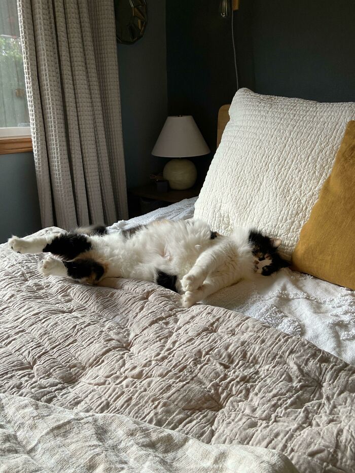 A Good Stretch Followed By A Grunt