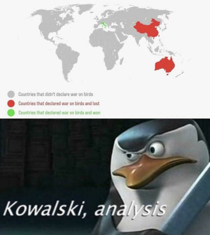 Italians Killin It With The Birds