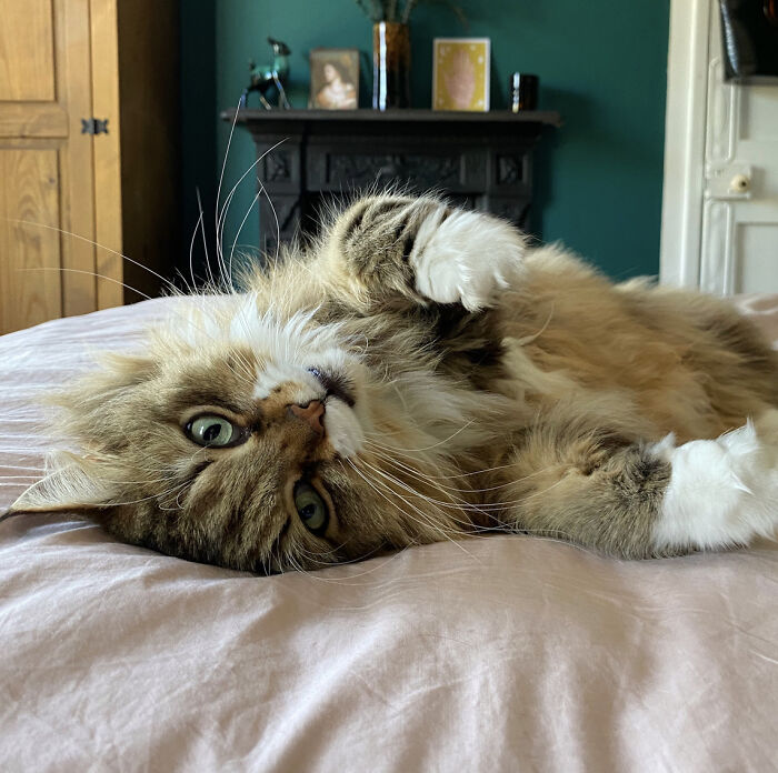 She's Relaxing In Her Favourite Spot