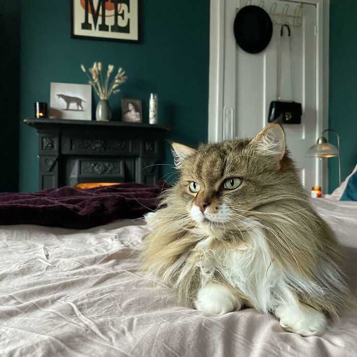 Her Favorite Spot Over The Winter Months