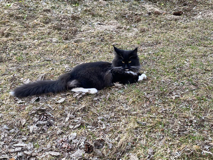 Ragnar, My Playful, Adventurous, Fearless And Loving