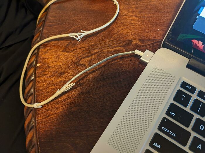 My Mom Said That It Once Shocked Her When She Plugged It In