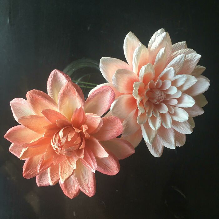 My Paper Dahlia Finally Looks Dahlia-Y! (Left: Attempt N-1)