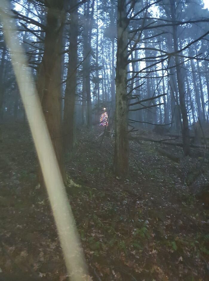 When You Go Out Of Bounds