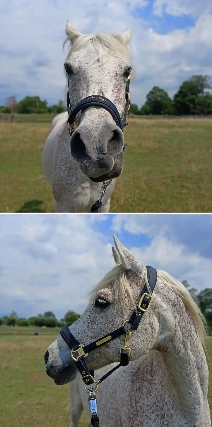 This One Is Beautiful In Everything