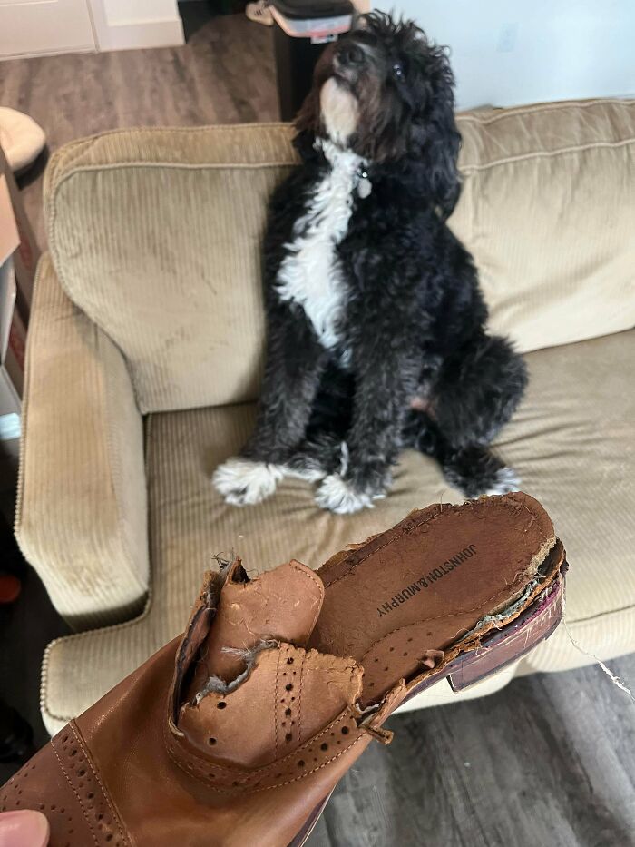 Forgot To Put My Shoes Up