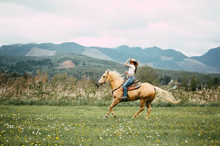 My Best Friend And Her Golden Boy, Flying Through Our Local Valley