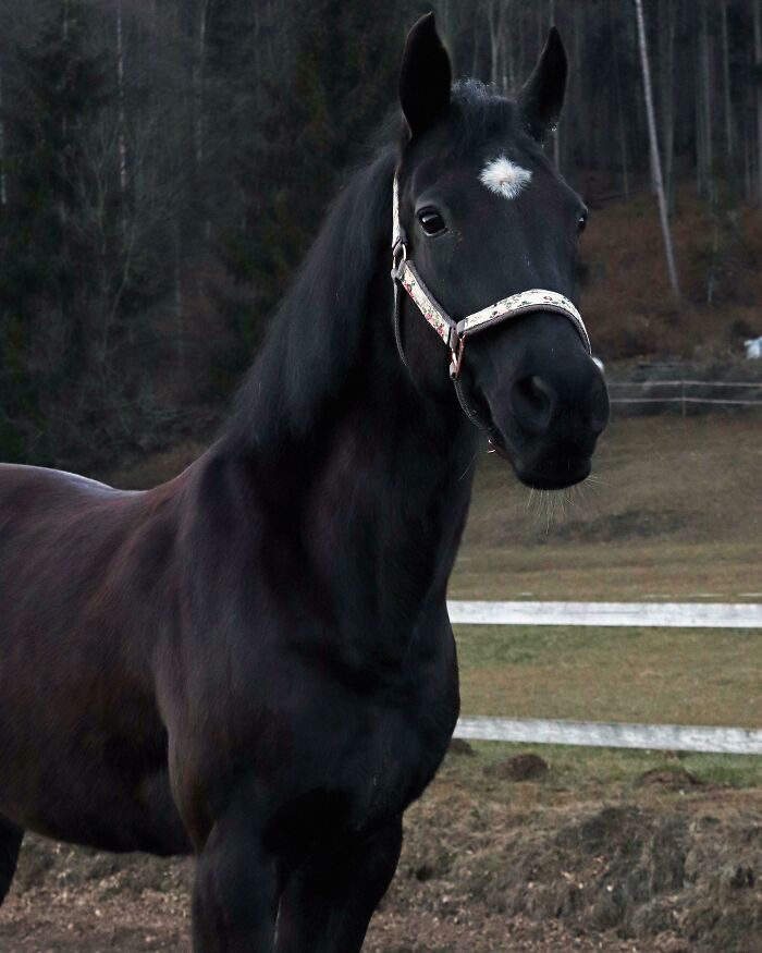 She Is Such A Model When There Is A Camera Around