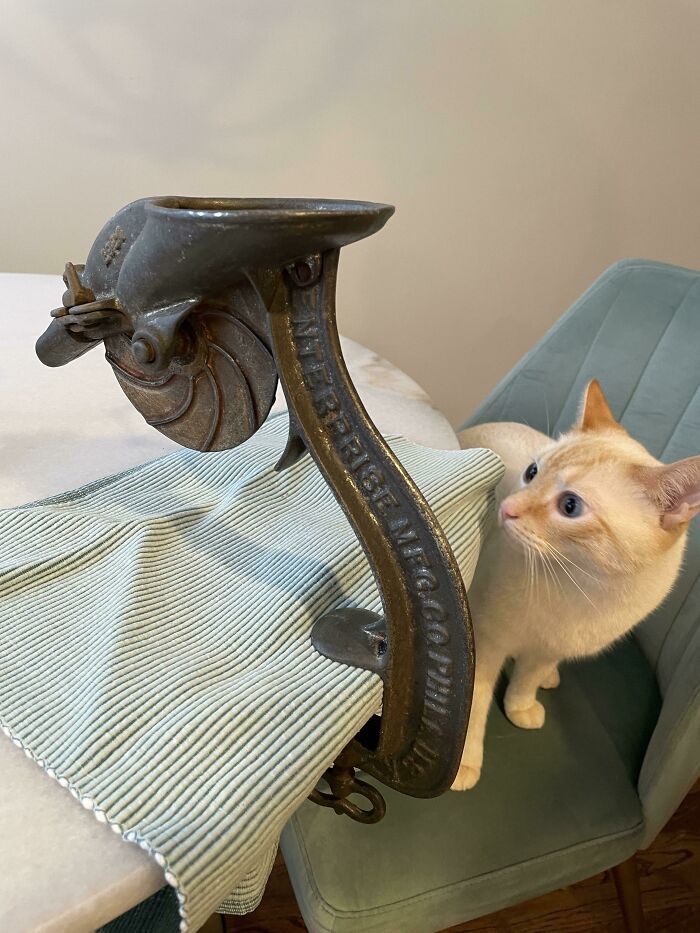 I Was Told You Guys Would Want To See This! My Mom’s Great Grandma’s Cherry Pitter From 1867. I’ll Be Using This On My Own Cherries Next Season!