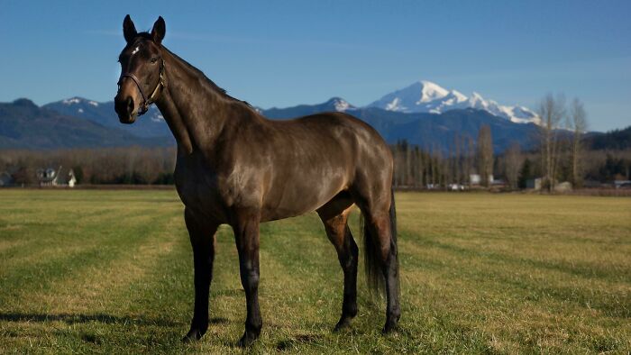 Took Some Photos For A Friend Yesterday. I Thought This One Was The Best