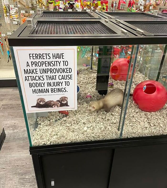 Funny-Weird-Warnings-Disclaimers