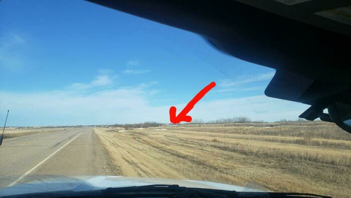 Had Lots On My Mind, Forgot To Gas Up 10 Hours Ago. I Noticed When I Ran Out. In Sight Of The Nearest Gas Station. 2 Km Walk