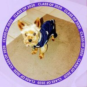 countrygrl_okla avatar