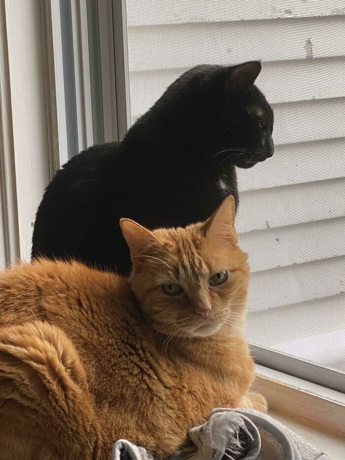 What Personal Space?