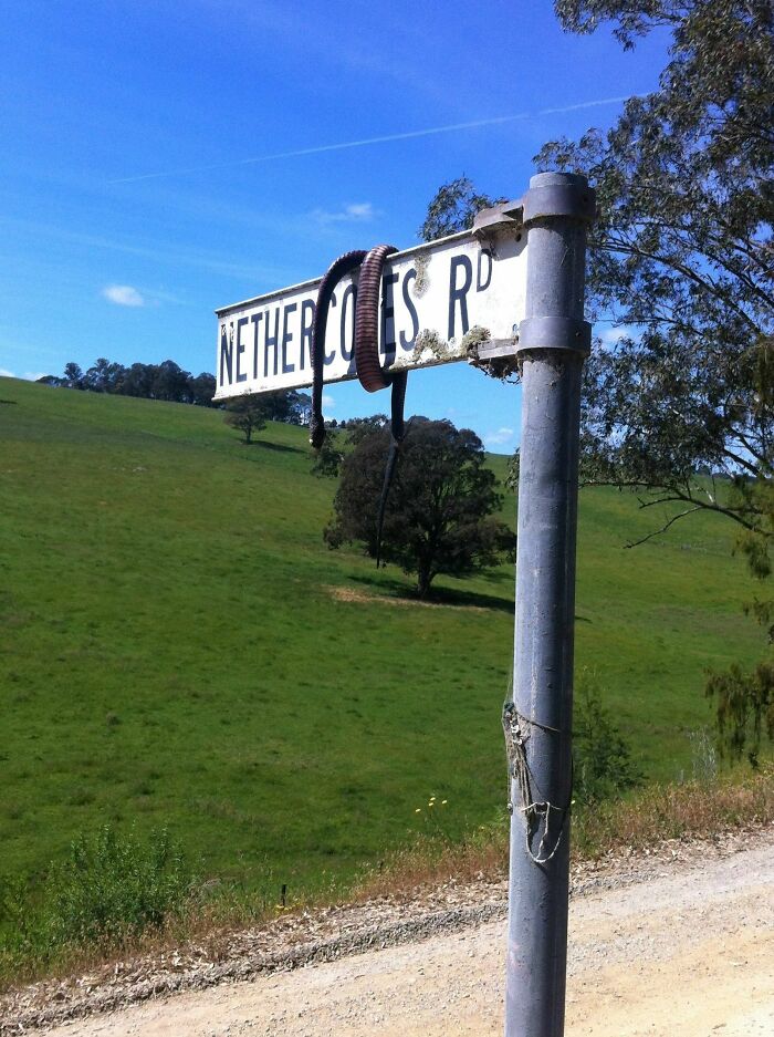 So Today I Saw This Tied To A Road Sign In Australia After Getting Out Of My Car To Take A Leak. I Got The Hell Out Of There