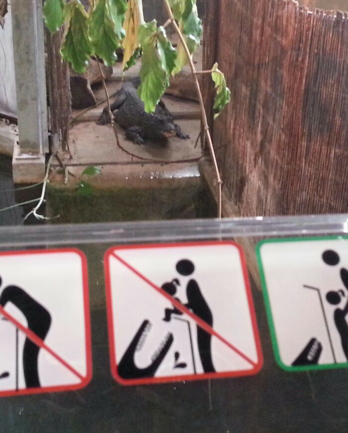 If Only There Would Have Been That Sign