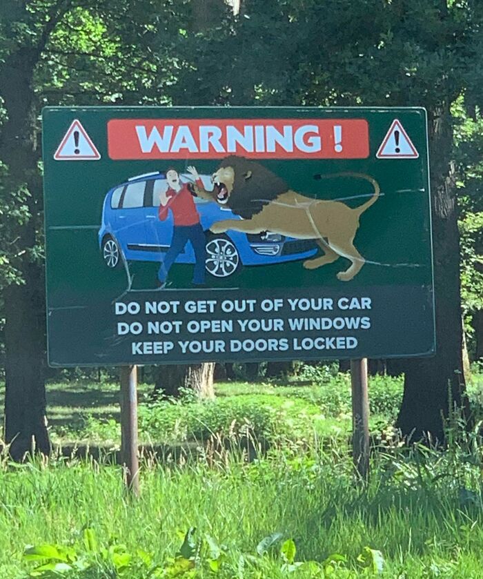 I Locked The Doors Quite Quickly After Seeing This