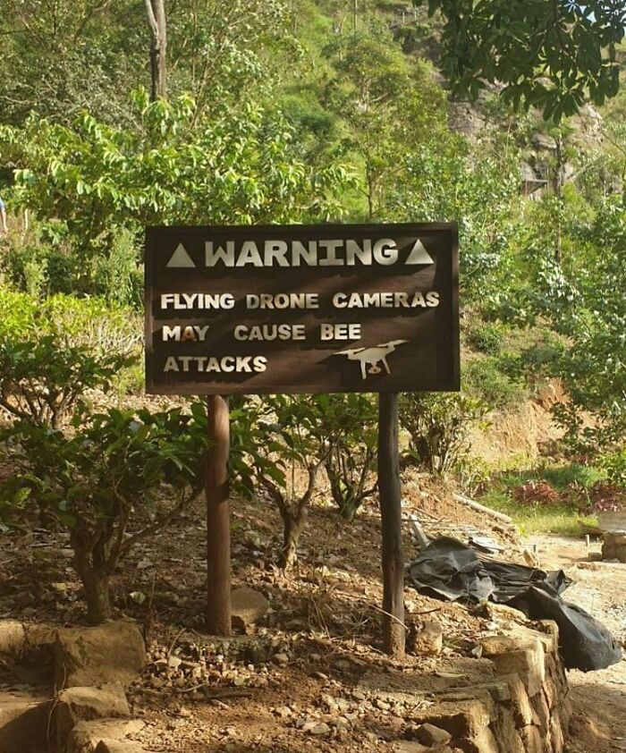 That’s... Weirdly Specific