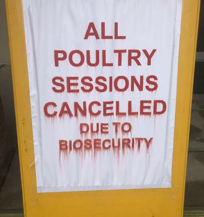Sick Chickens