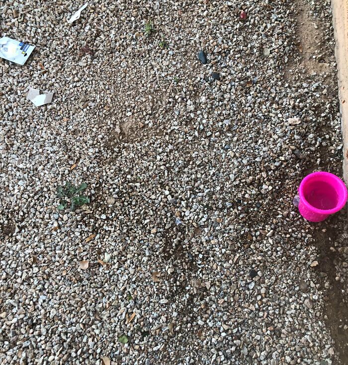 I Dropped A Small Screw Somewhere In This Area. I Need It To Hold The New Rubber Seal On The Inside Of The Faucet. Does Anyone Out There Care For A Game Of “I Spy”?