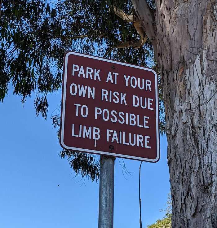 Parking Across The Street From A Playground
