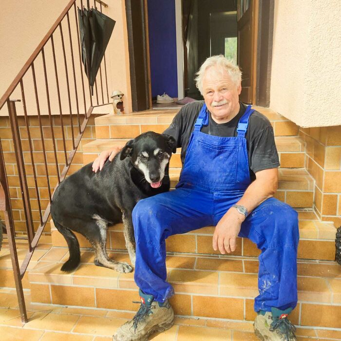 This Is Bella, Our 13 Year Old Farmdog. We Just Adopted Her When Renting Our Farmhouse Because Her Owner (A Retired Farmer) Didn't Want To Take Her Away From Her Home