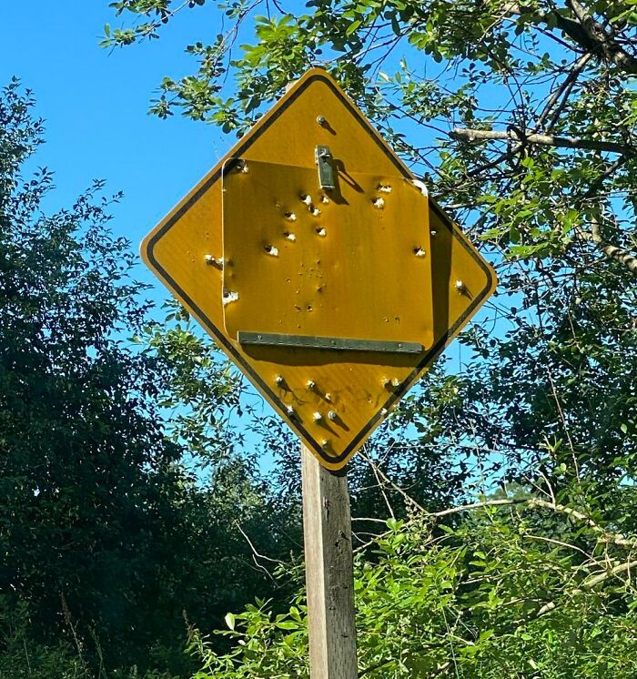Road Sign Near My House Is Both Blank And Covered In Bullet Holes