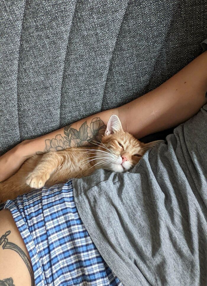 I Just Wanted To Share My New Family Member I Adopted Yesterday, The Only "Child" I'll Ever Have. It's Incredible How Much Love You Can Get From An Animal. We Love Him!