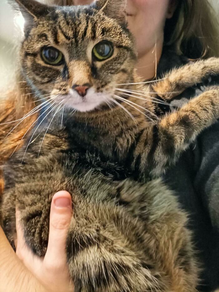 Just Adopted This 2004 Model. Everything Still Working Like Brand New. She Just Has A Lot Of Cuddling To Catch Up On!