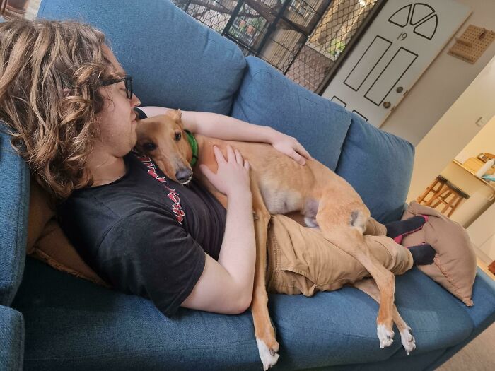 Our Recently Adopted Boy, Obi, Is Settling In Quite Well