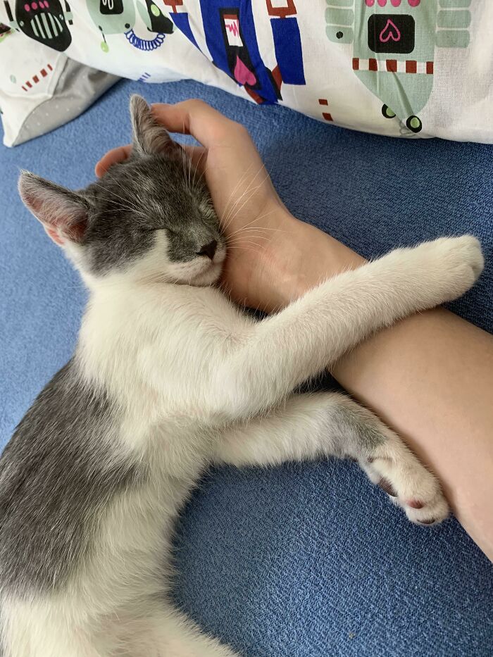 So, It’s Been 2 Hours Since We Adopted Our Boy Chester 