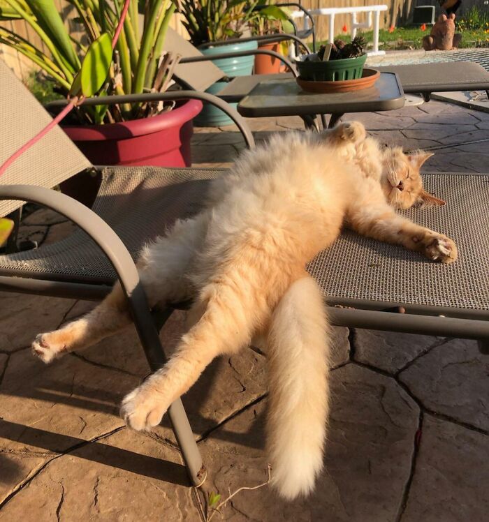 Floyd Relaxing Poolside