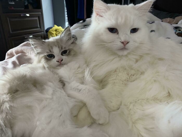 New Friends Marty & Sissy, From Strangers To Inseparable In Less Than 2 Weeks