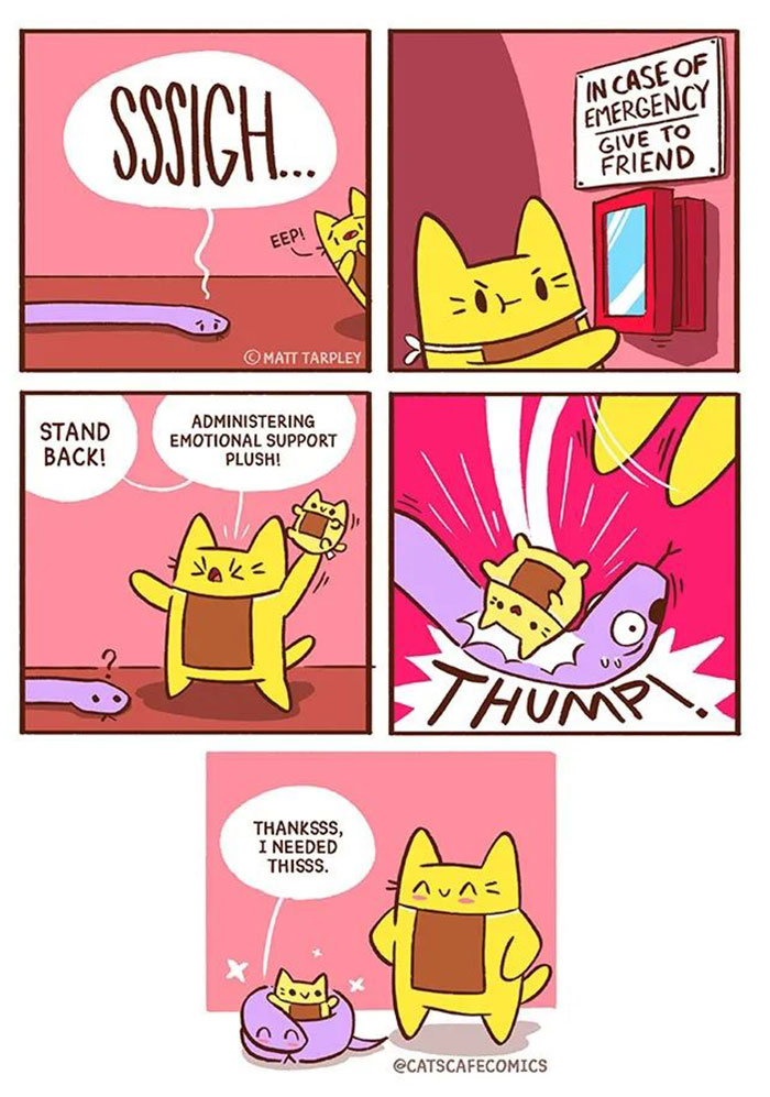 The Wholesome “Cat’s Café” Comics Will Warm Your Heart ( New Pics)