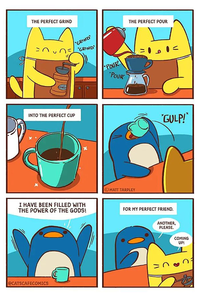 The Wholesome “Cat’s Café” Comics Will Warm Your Heart ( New Pics)