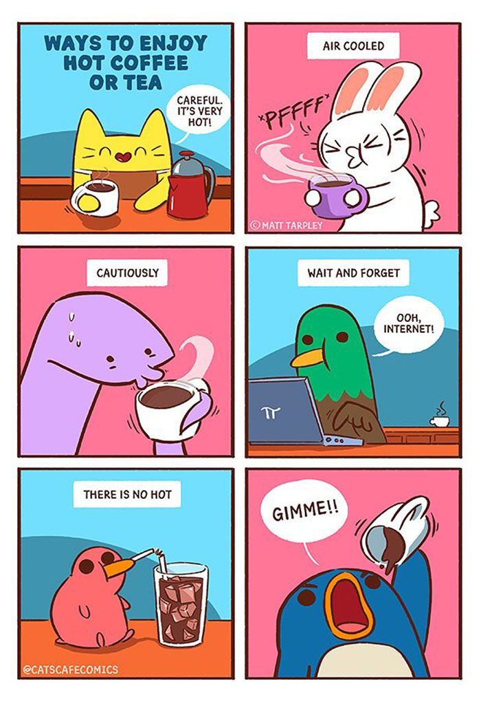 The Wholesome “Cat’s Café” Comics Will Warm Your Heart ( New Pics)