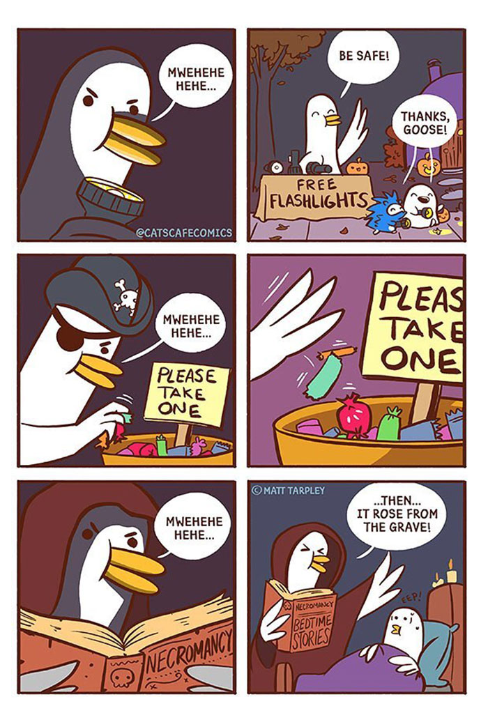 The Wholesome “Cat’s Café” Comics Will Warm Your Heart ( New Pics)