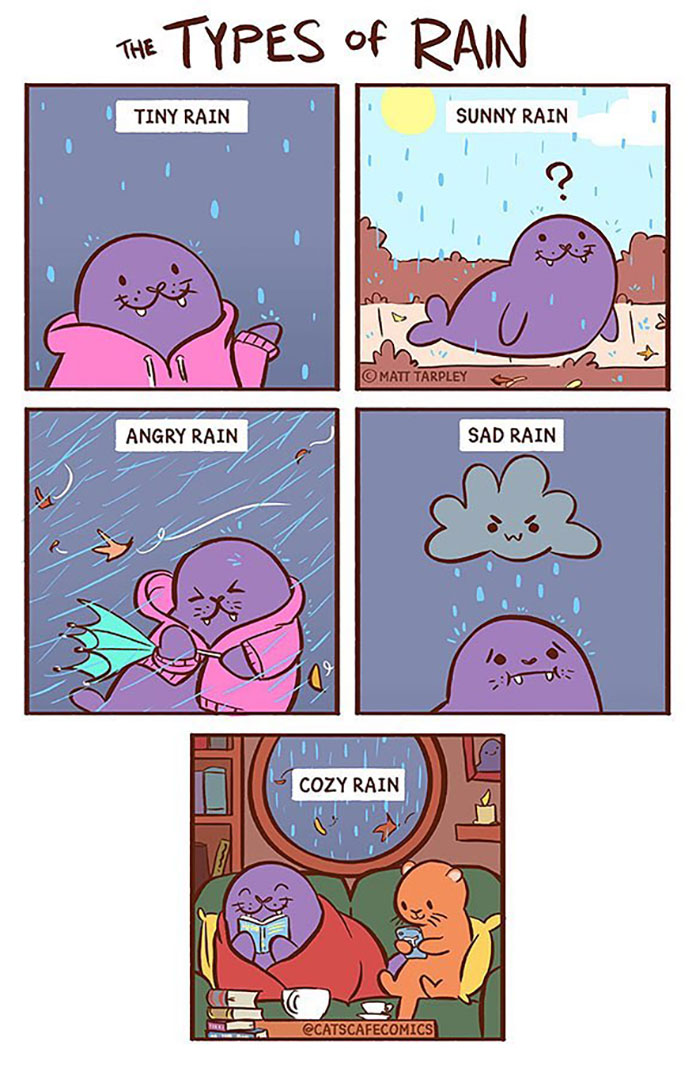 The Wholesome “Cat’s Café” Comics Will Warm Your Heart ( New Pics)