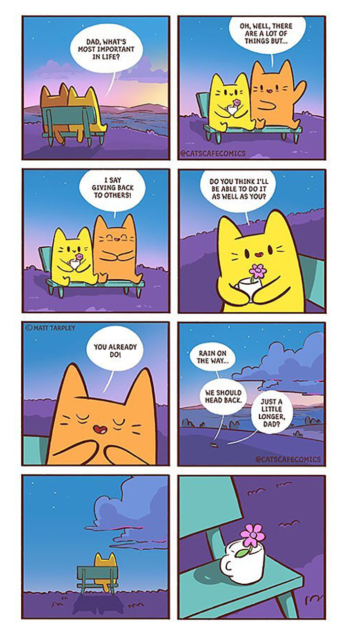 The Wholesome “Cat’s Café” Comics Will Warm Your Heart ( New Pics)