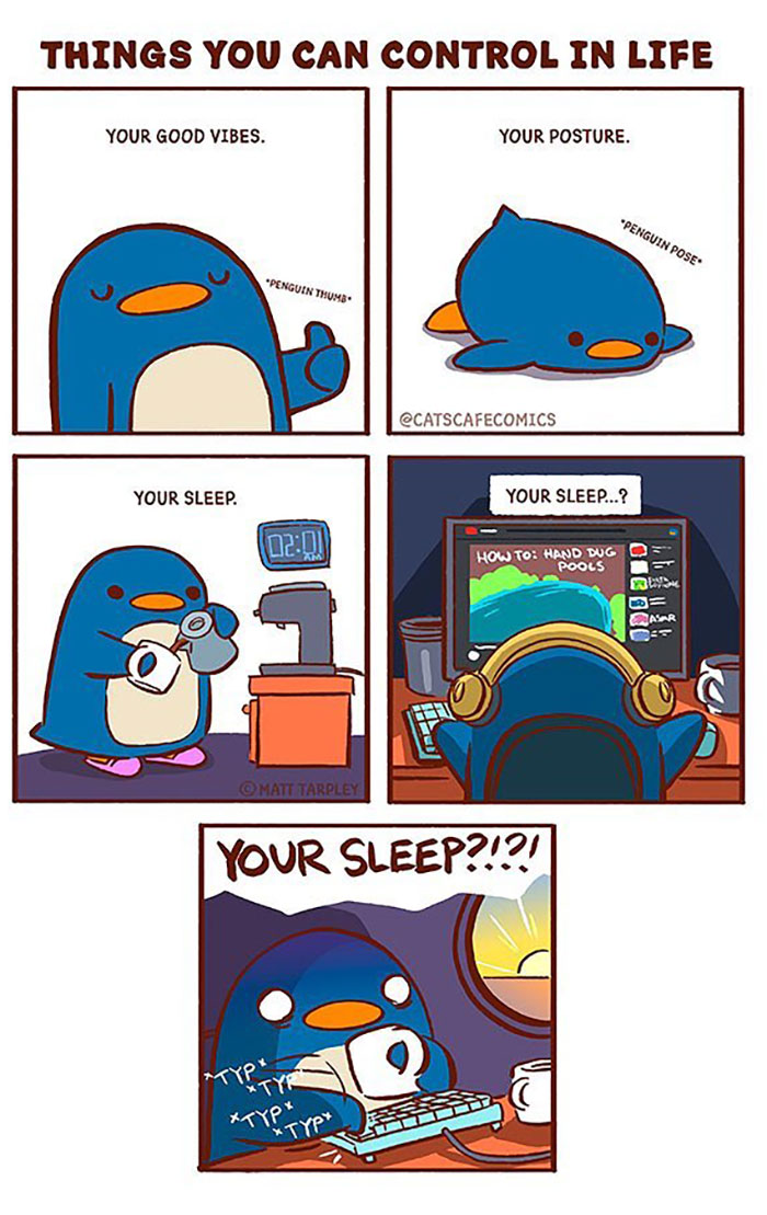 The Wholesome “Cat’s Café” Comics Will Warm Your Heart ( New Pics)