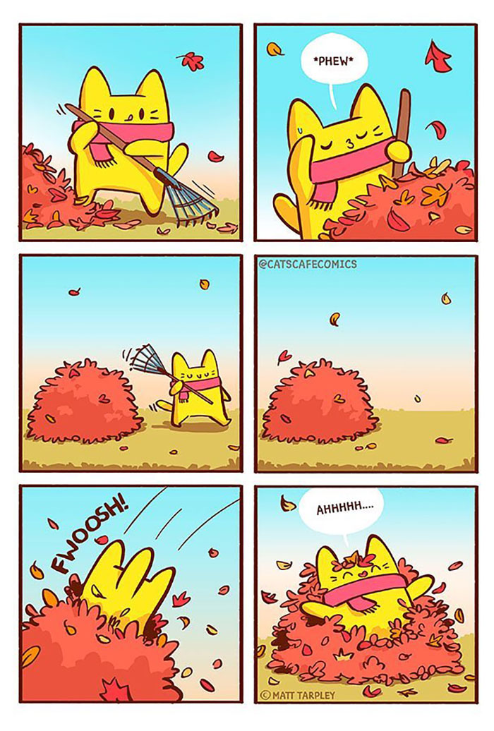 The Wholesome “Cat’s Café” Comics Will Warm Your Heart ( New Pics)