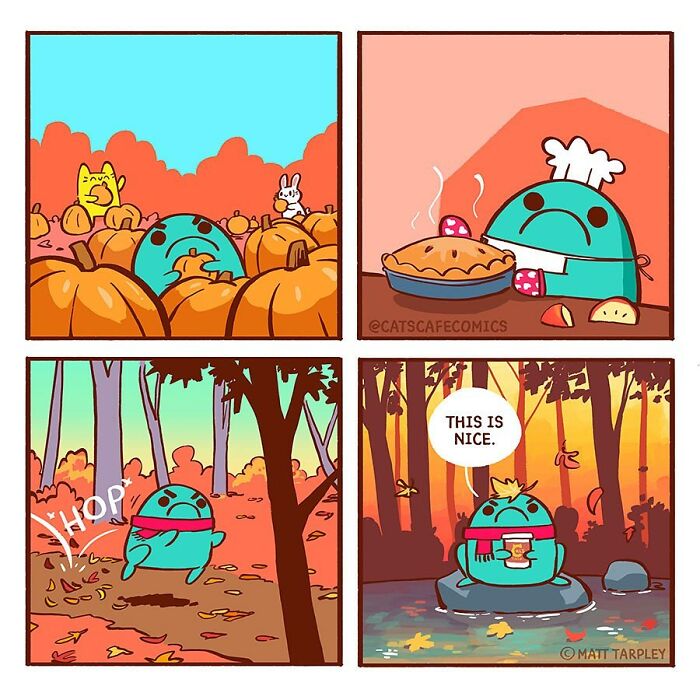 The Wholesome “Cat’s Café” Comics Will Warm Your Heart ( New Pics)