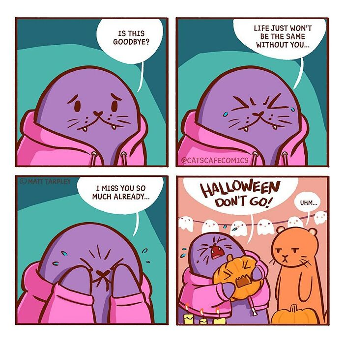 The Wholesome “Cat’s Café” Comics Will Warm Your Heart ( New Pics)