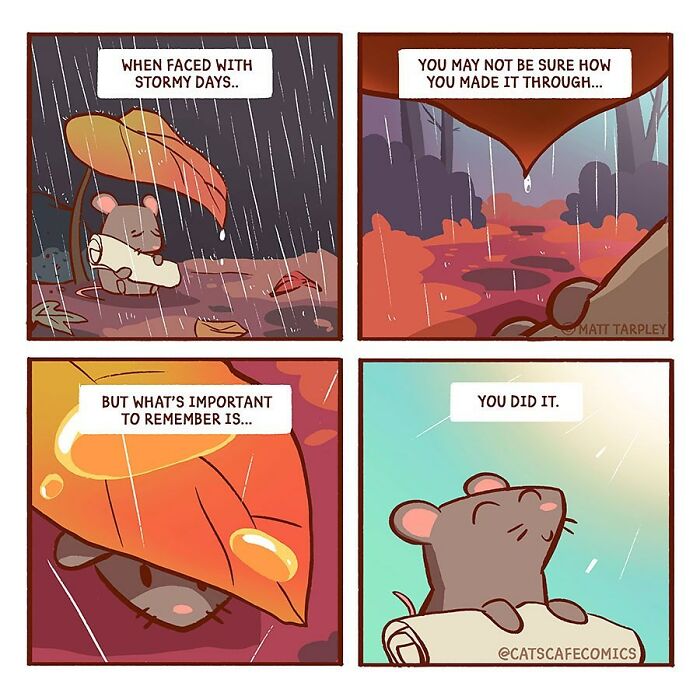 The Wholesome “Cat’s Café” Comics Will Warm Your Heart ( New Pics)