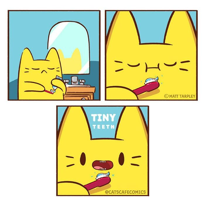 The Wholesome “Cat’s Café” Comics Will Warm Your Heart ( New Pics)