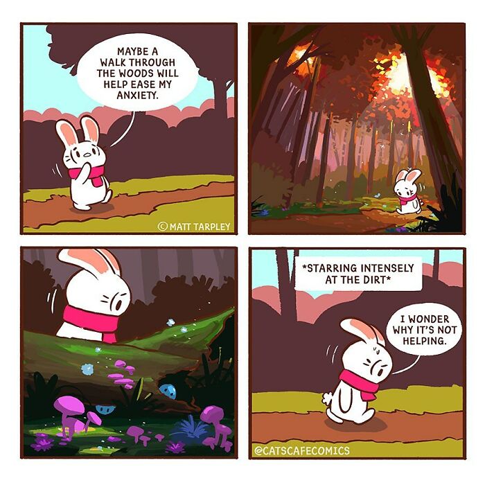 The Wholesome “Cat’s Café” Comics Will Warm Your Heart ( New Pics)