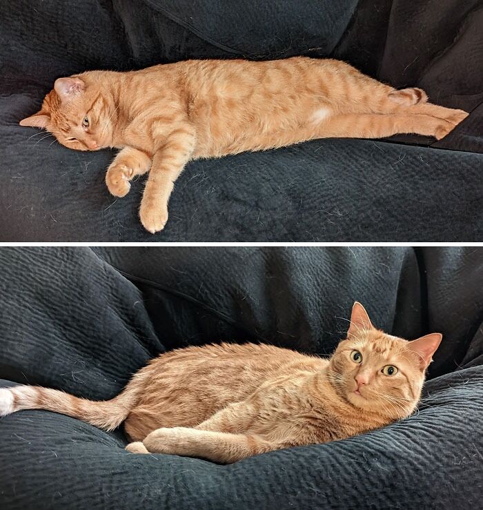 The Handsome Lord Of The Bean Bag Chair, Lounging