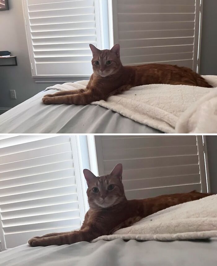 More Orange For Your Feed