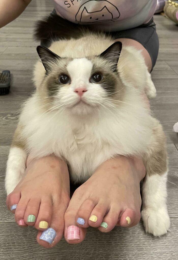 Chillin’ Raggie Style