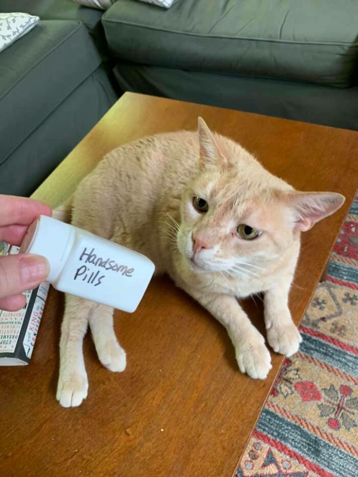 They're For Allergies But He Doesn't Need To Know That